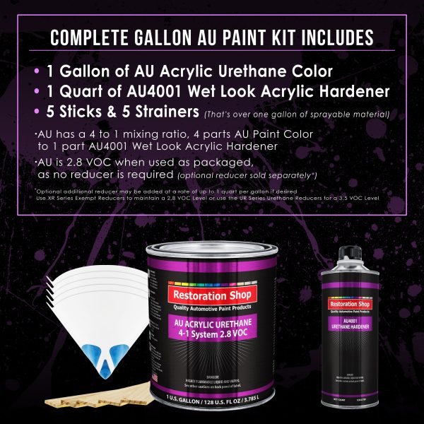 Steel Gray Metallic Acrylic Urethane Auto Paint - Complete Gallon Paint Kit - Professional Single Stage Automotive Car Coating, 4:1 Mix Ratio 2.8 VOC Online Hot Sale - Image 2