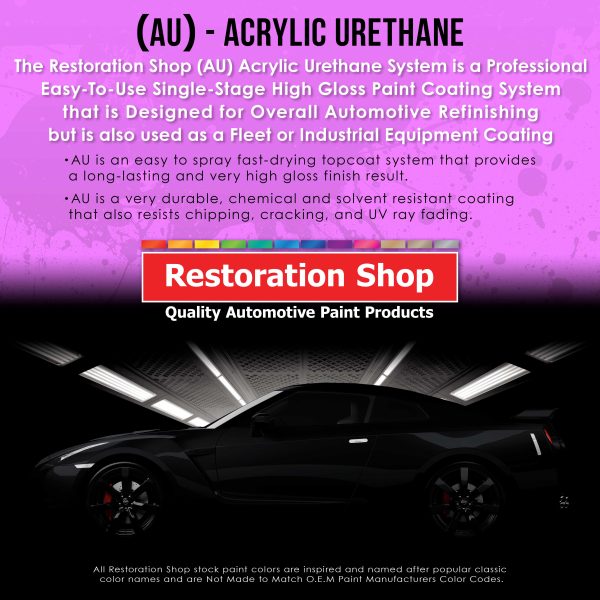 Steel Gray Metallic Acrylic Urethane Auto Paint - Complete Gallon Paint Kit - Professional Single Stage Automotive Car Coating, 4:1 Mix Ratio 2.8 VOC Online Hot Sale - Image 3
