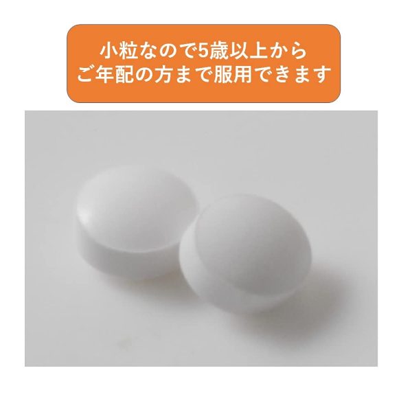 Wada Calcium Pharmaceuticals Calcium Tablets 450ct [Third-Class OTC Drug] Discount - Image 2
